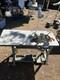 Atlas USA AT 5200EX-4 Industrial Overlock Sewing Machine with Table & Servo Motor