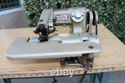 Chandler Mark60 Industrial Sewing Machine SIngle Thread Blind Stitch