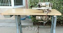 Chandler Mark60 Industrial Sewing Machine SIngle Thread Blind Stitch